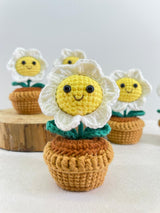 Handmade Crochet Flower Mini Potted Plant