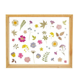 Framed Wall Art - Pressed Flowers - KLOSH