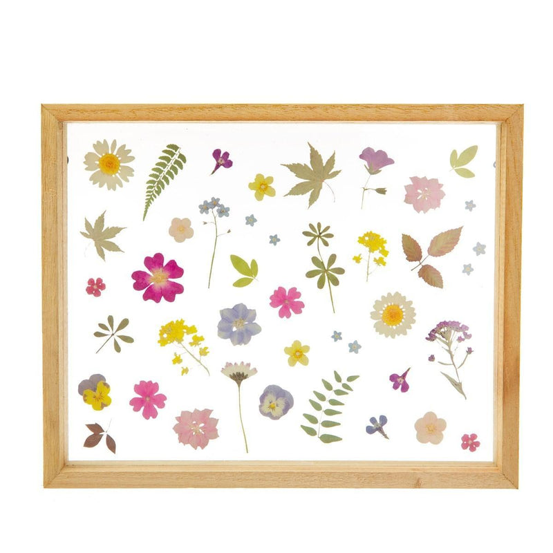 Framed Wall Art - Pressed Flowers - KLOSH