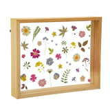 Framed Wall Art - Pressed Flowers - KLOSH